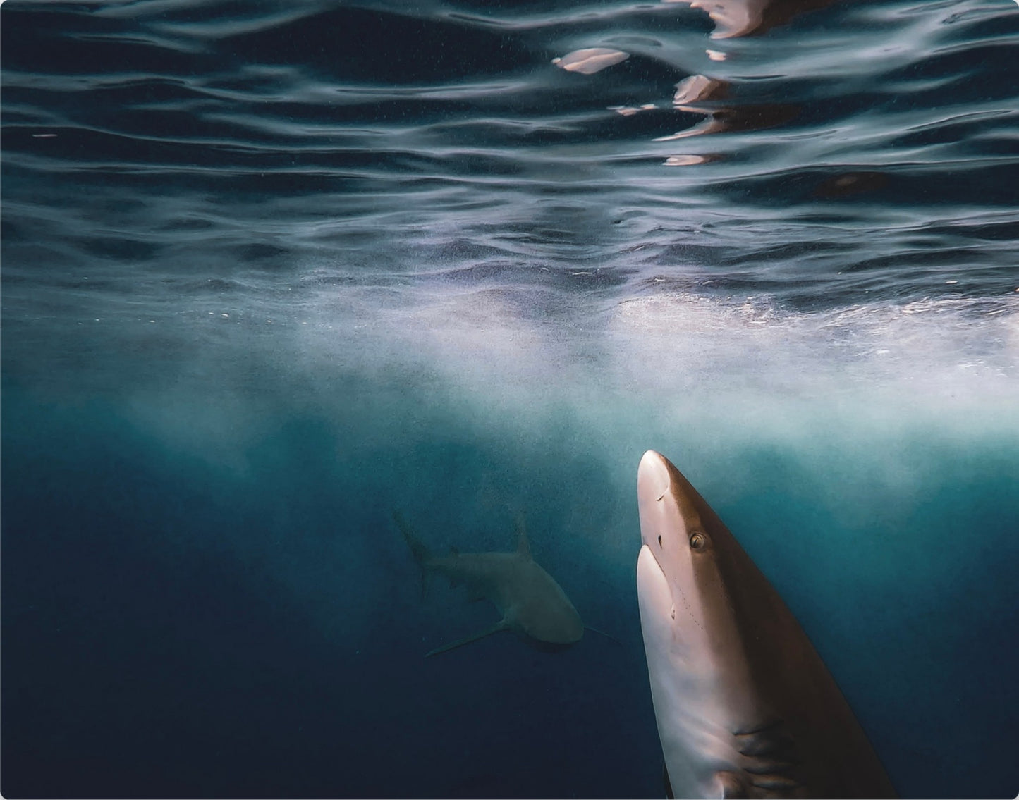 Below The Surface