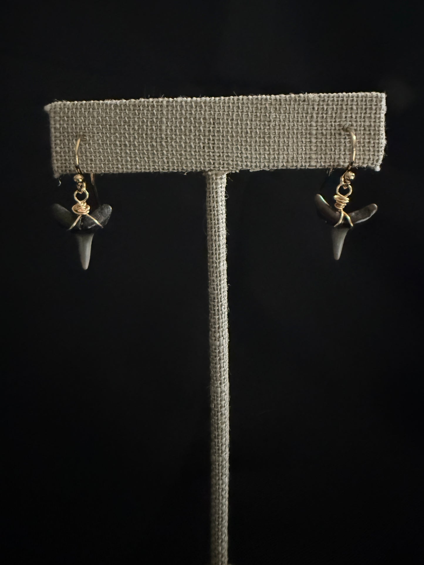 Shark Tooth Earrings- Gold