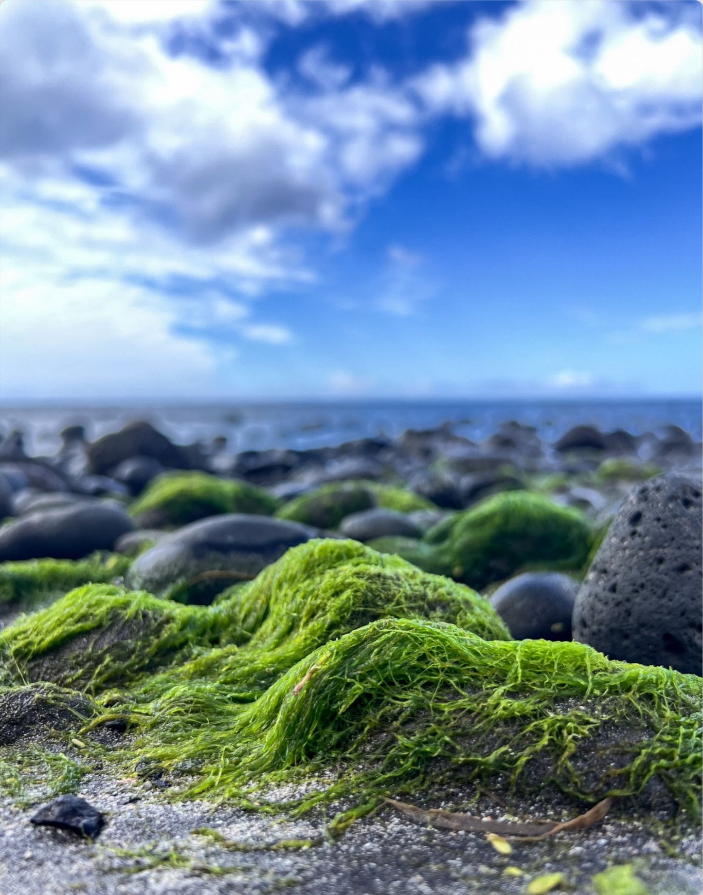Low Tide