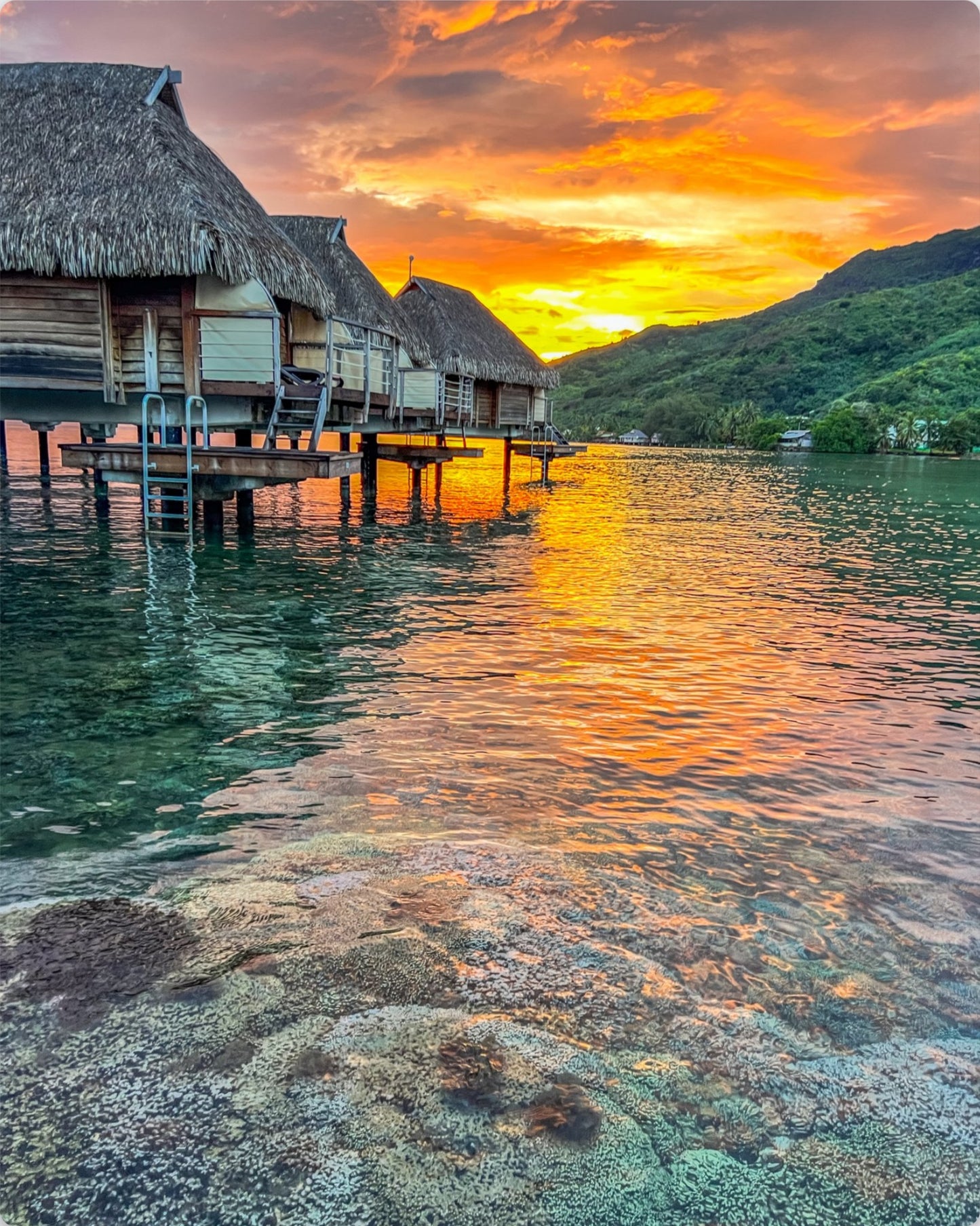 Mo'orea Sunrise