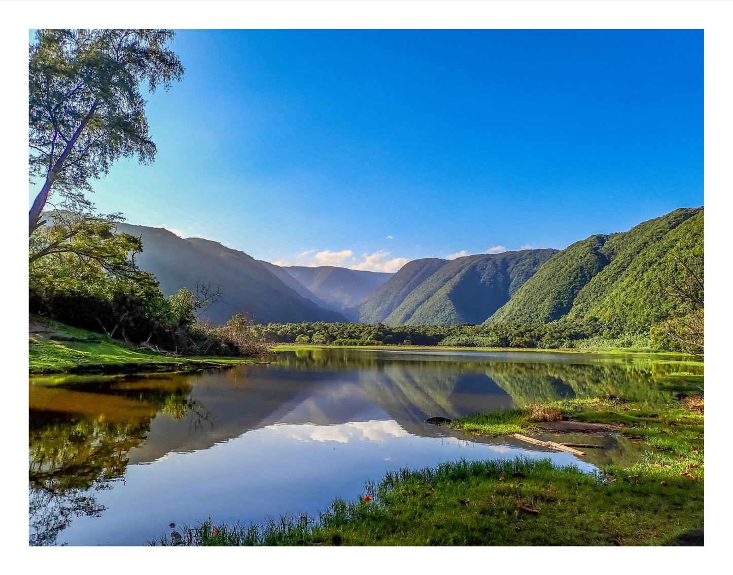 Pololū Valley Views