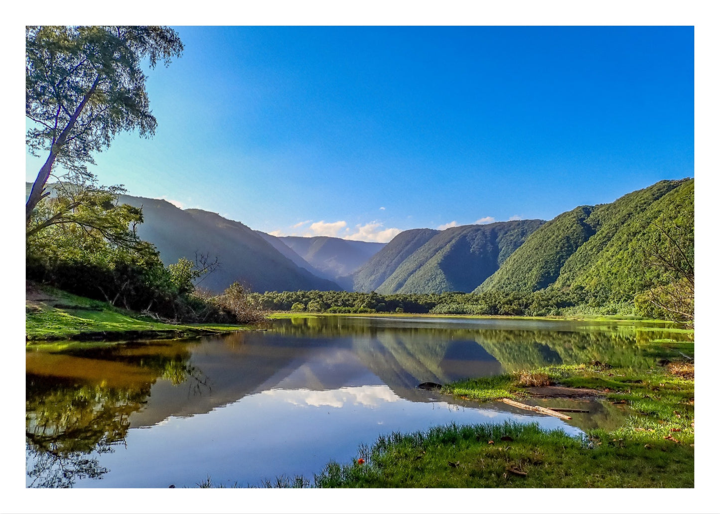 Pololū Valley Views