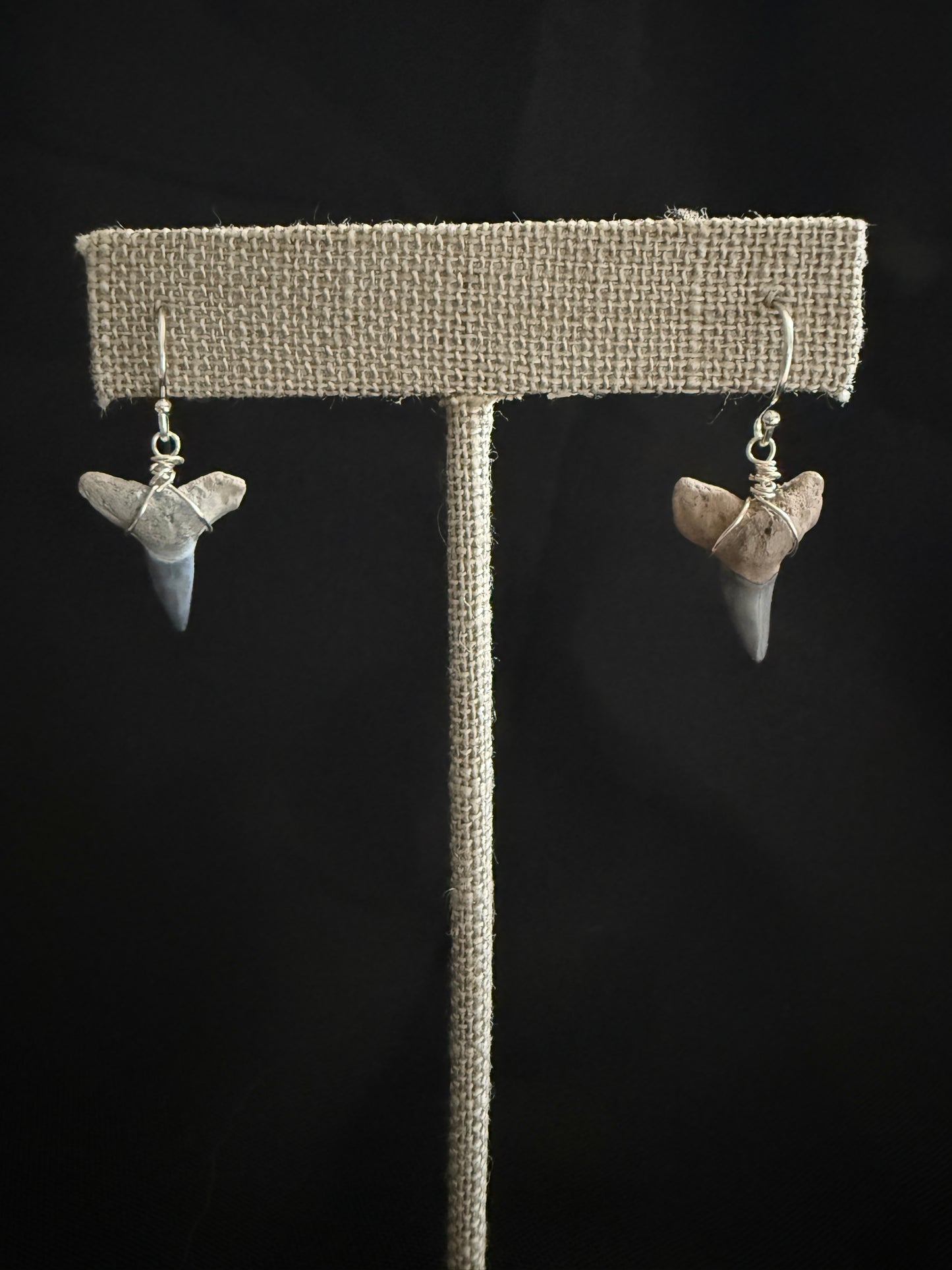 Shark Tooth Earrings- Silver