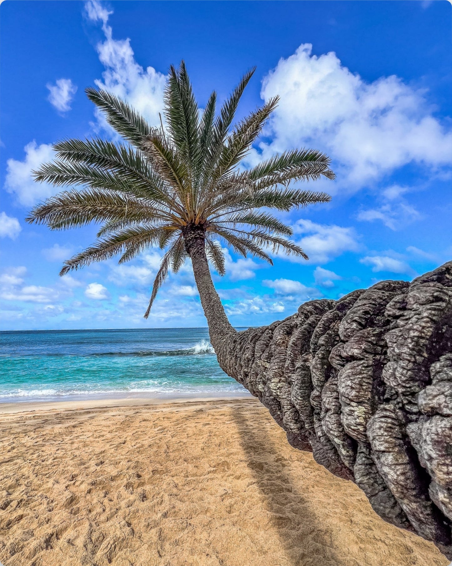 Walk on the Beach