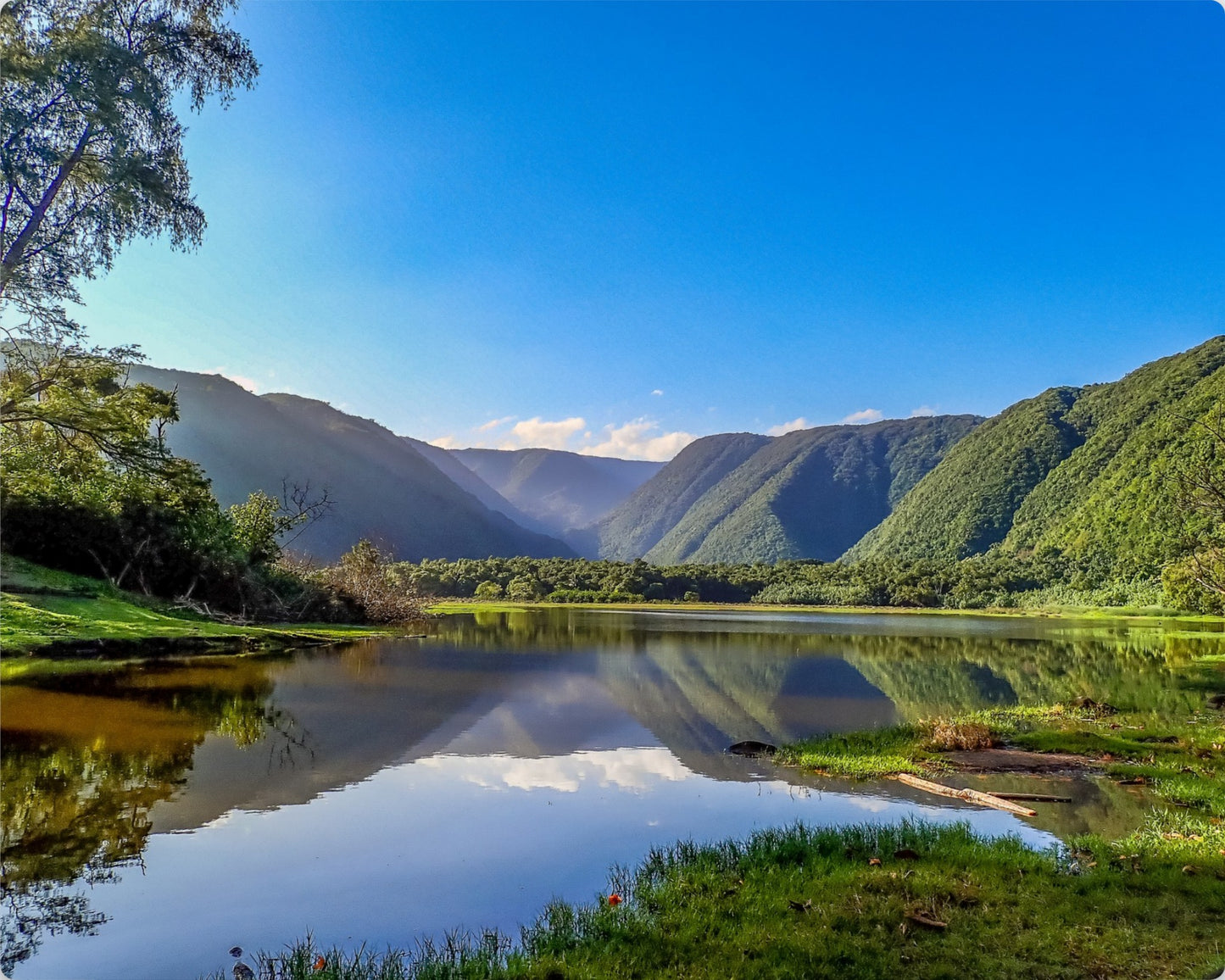 Pololū Valley Views