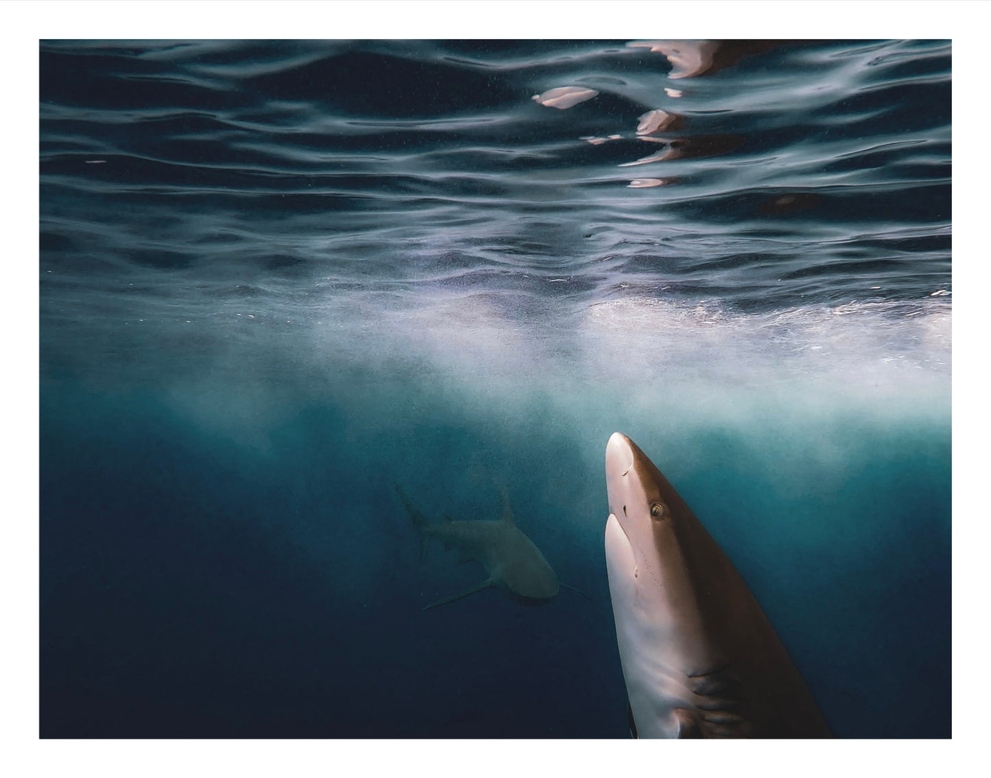 Below The Surface