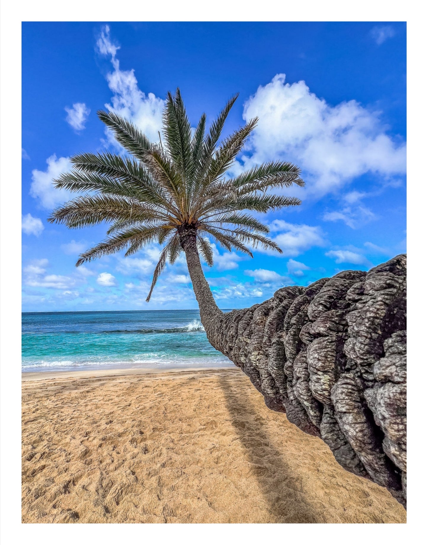 Walk on the Beach