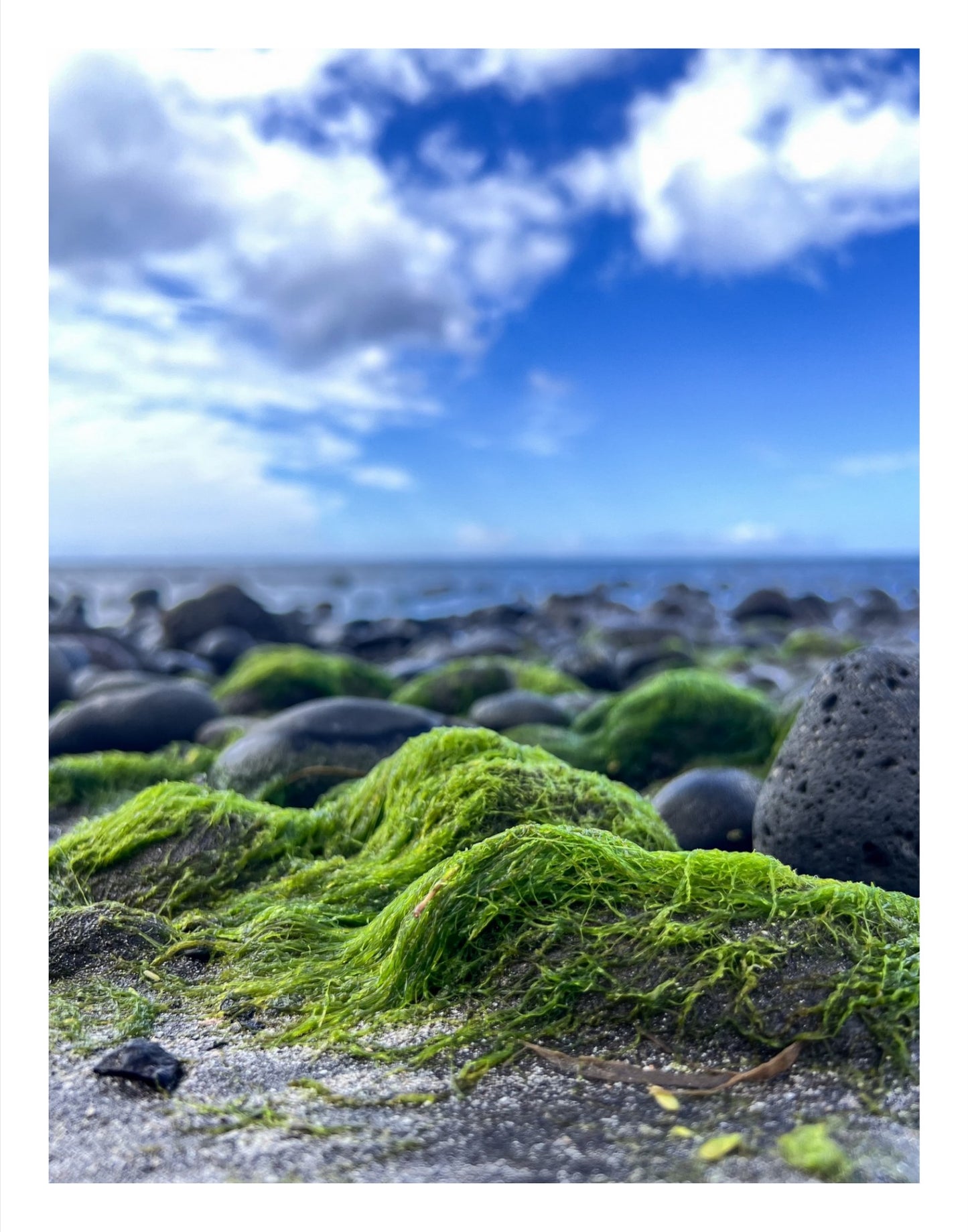 Low Tide