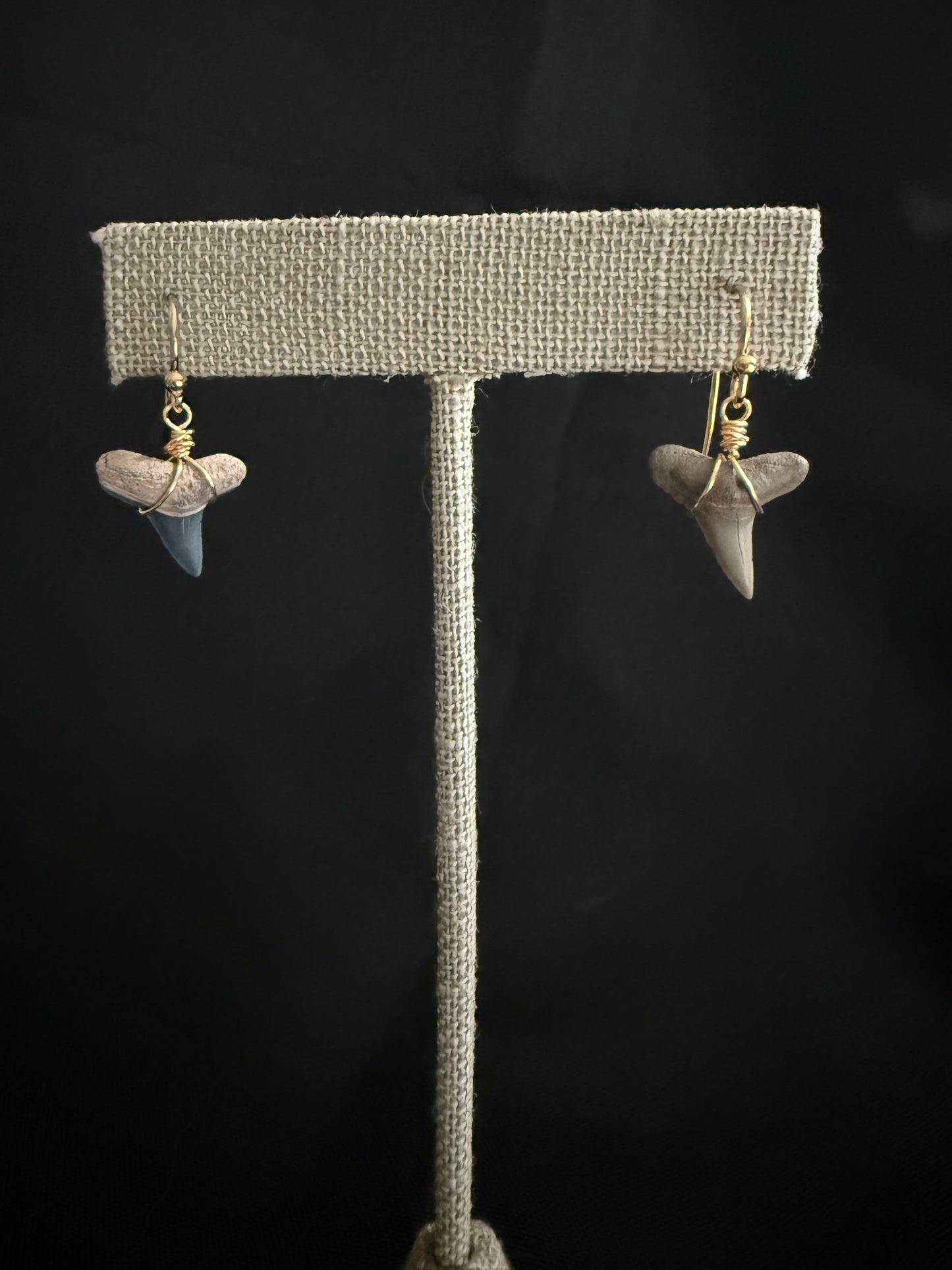 Shark Tooth Earrings- Gold