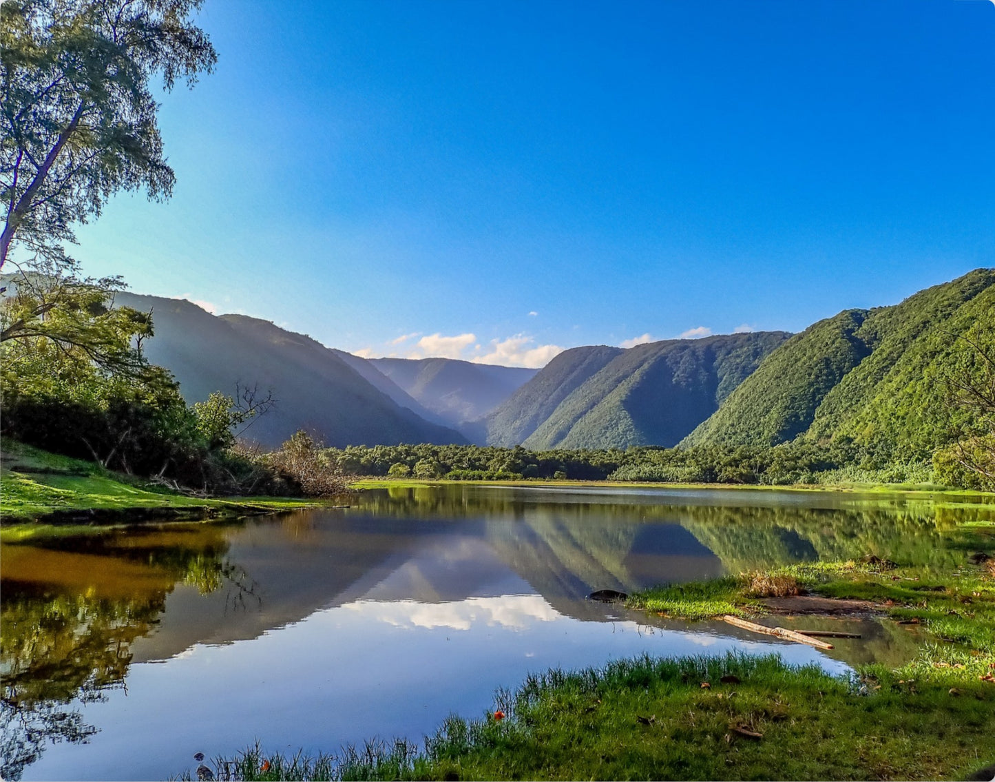 Pololū Valley Views