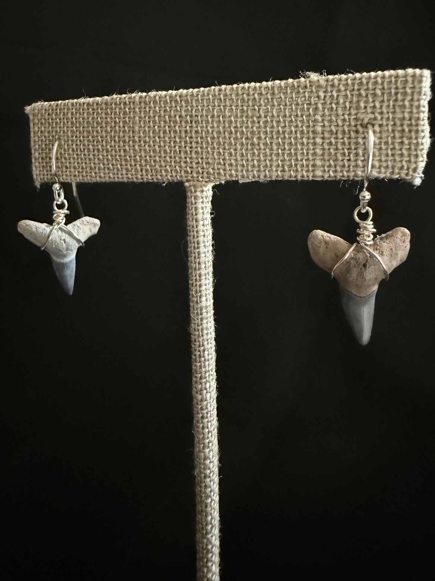 Shark Tooth Earrings- Silver