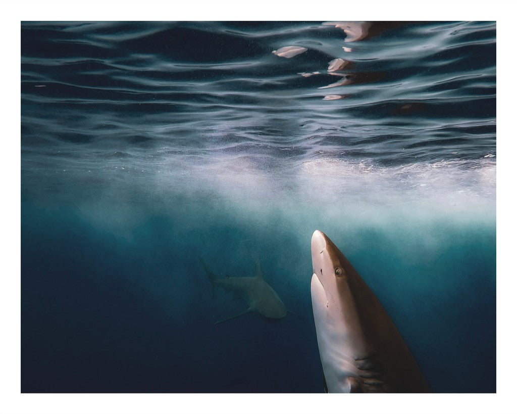 Below The Surface