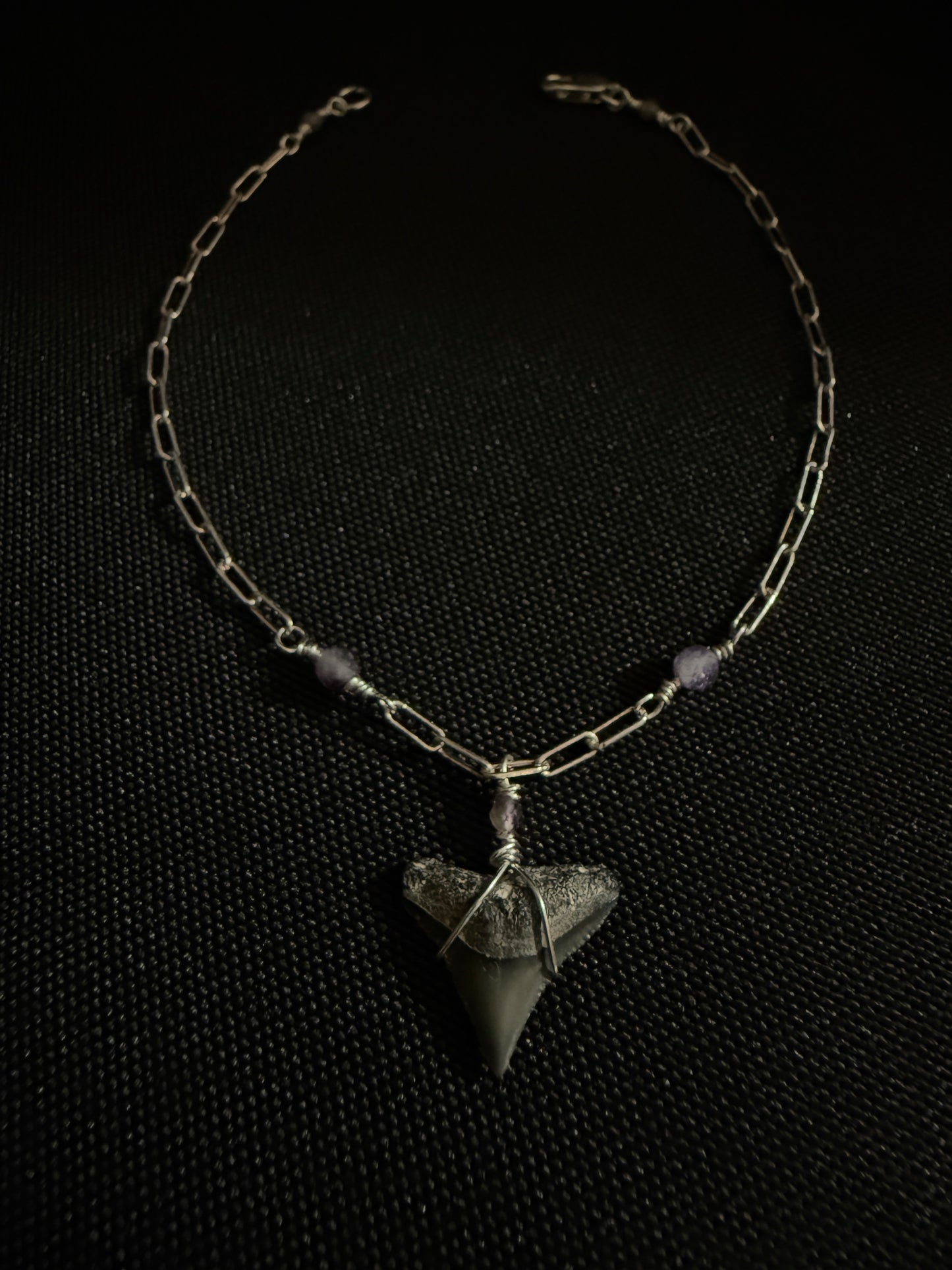 Shark Tooth Bracelet
