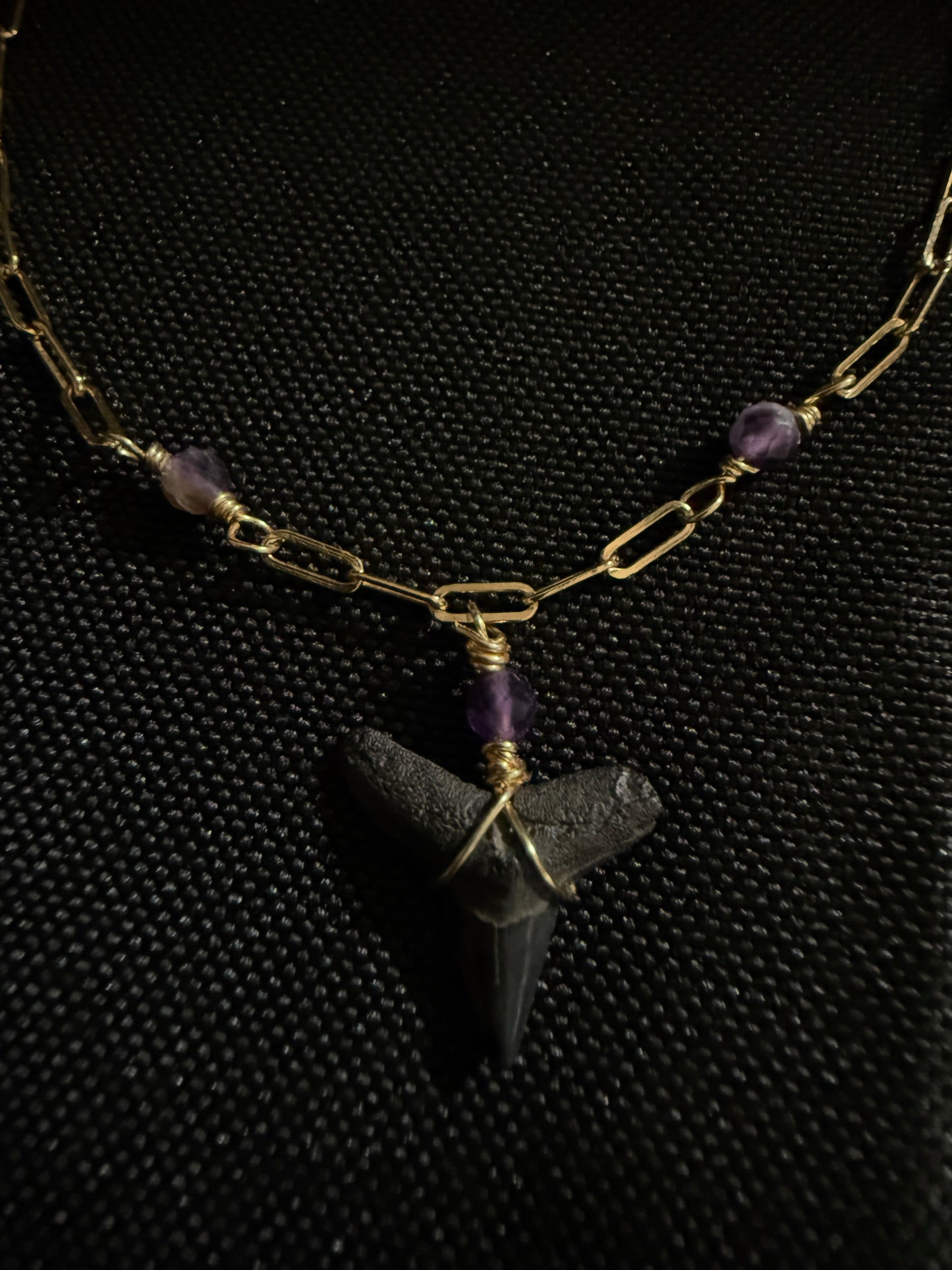 Shark Tooth Bracelet