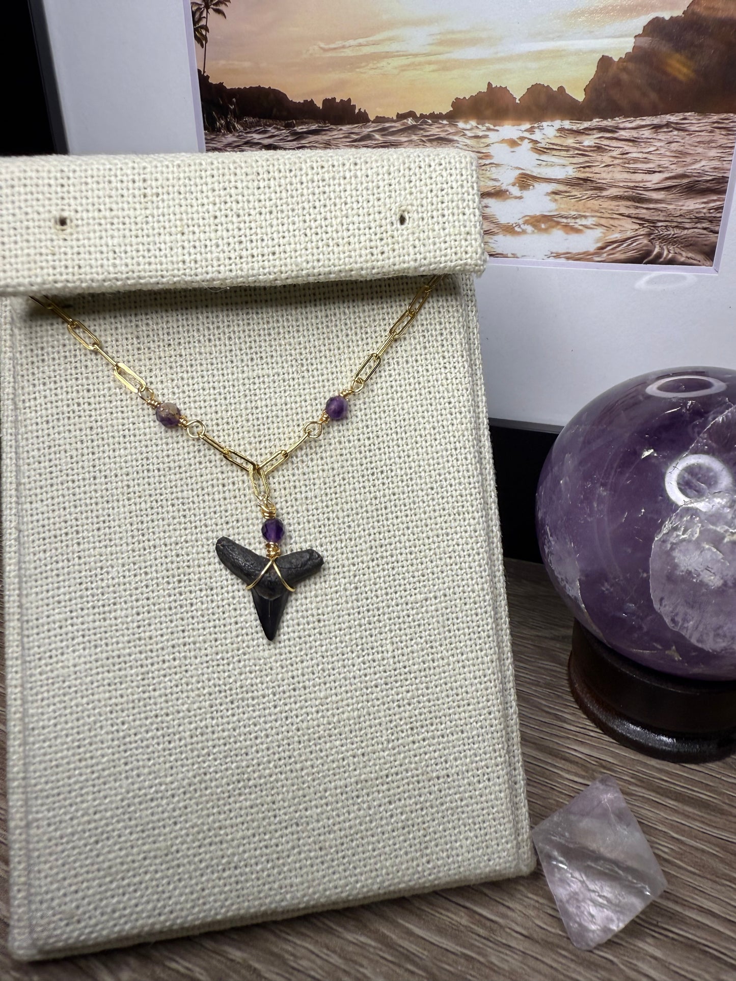 Shark Tooth Bracelet