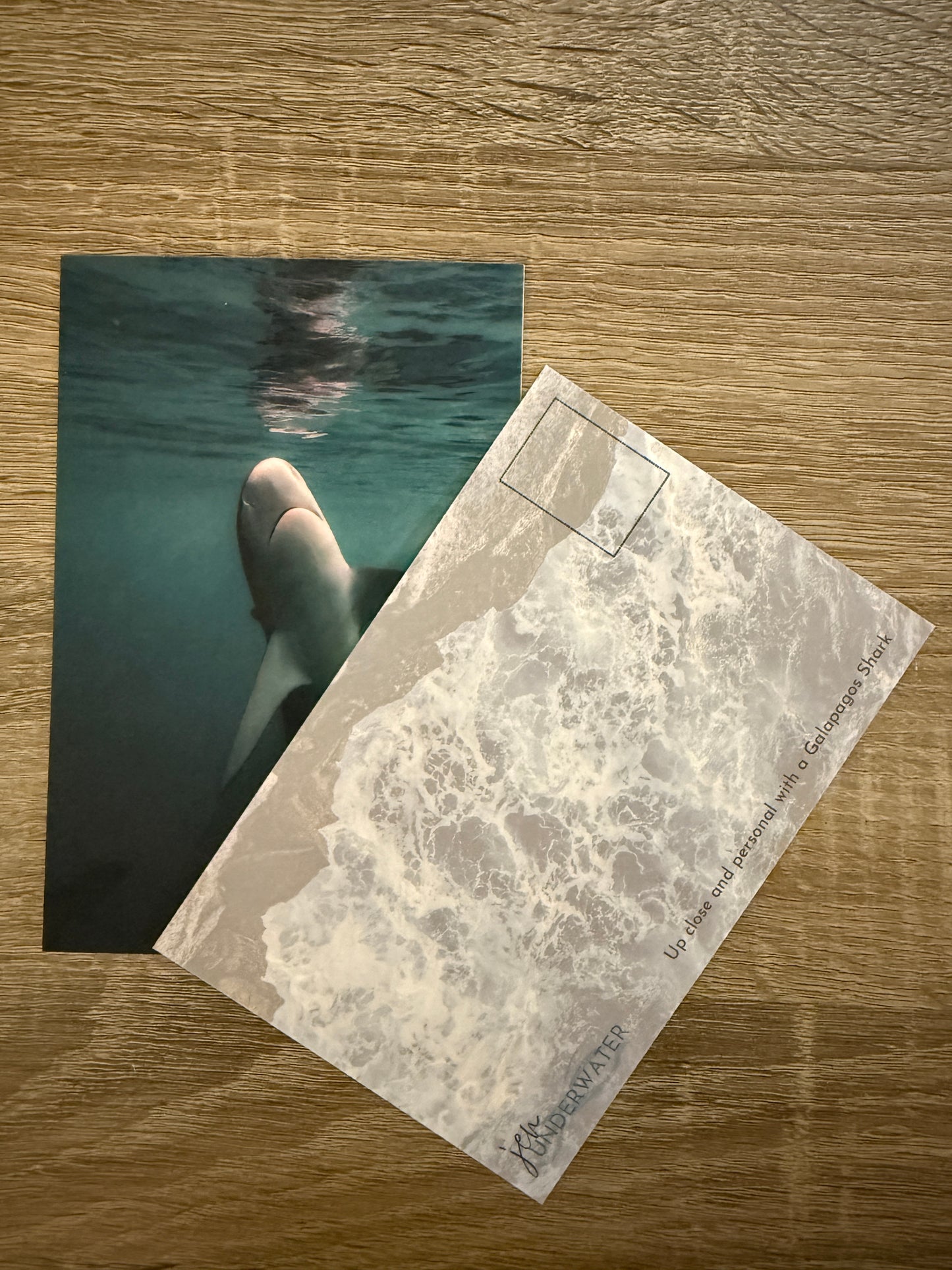Galapagos Postcard (Double Sided)