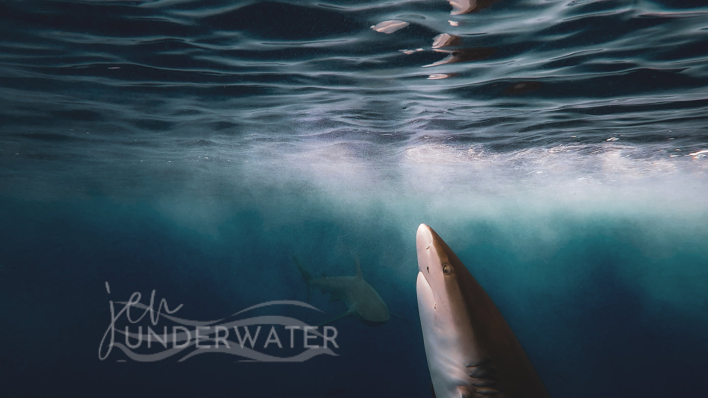 Below The Surface