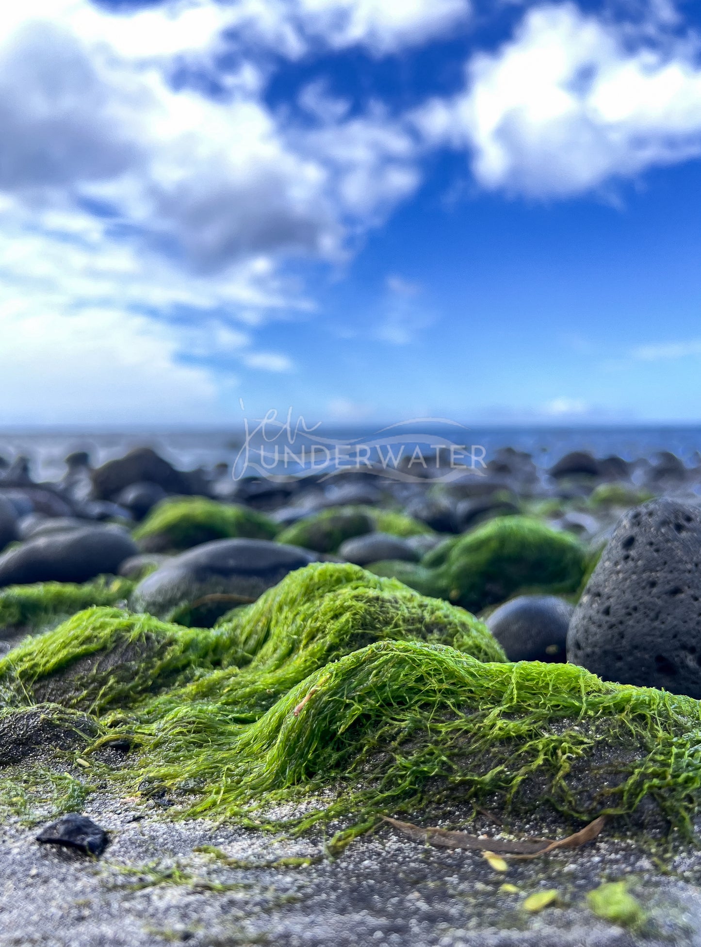 Low Tide