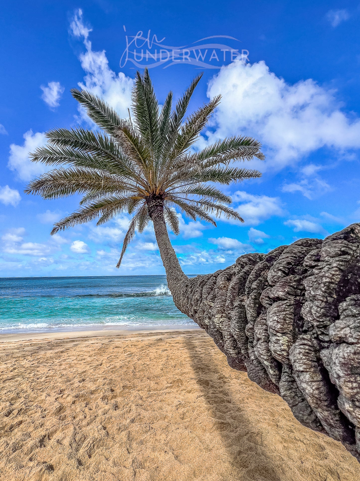 Walk on the Beach