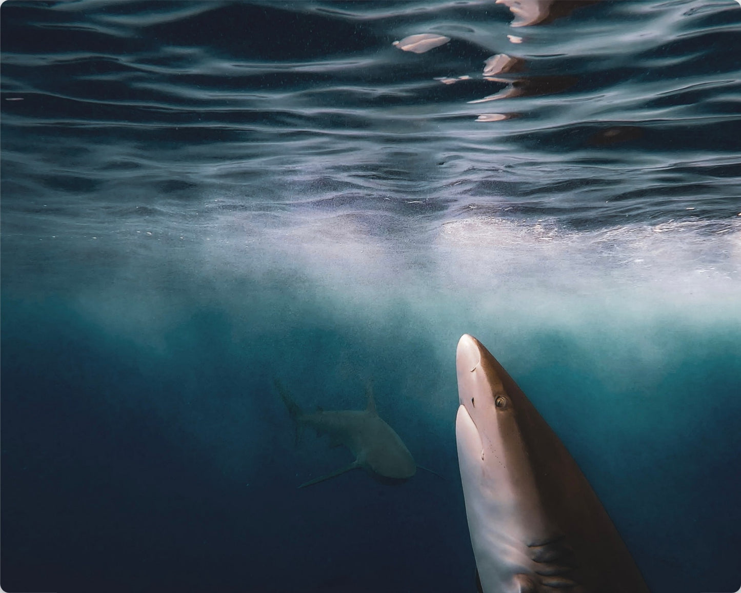 Below The Surface