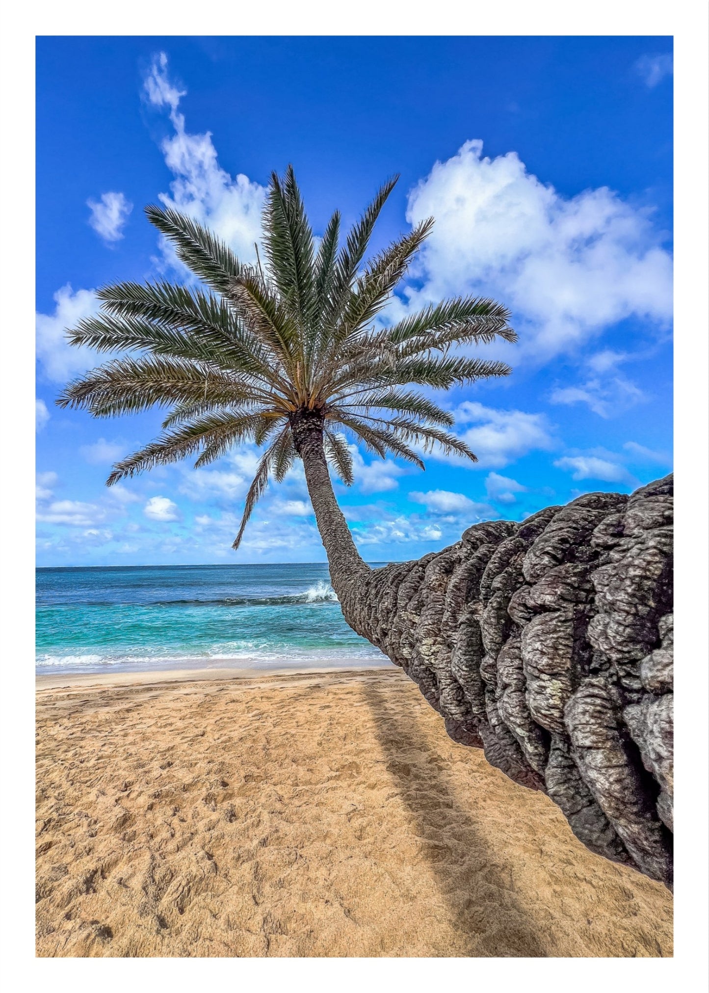 Walk on the Beach