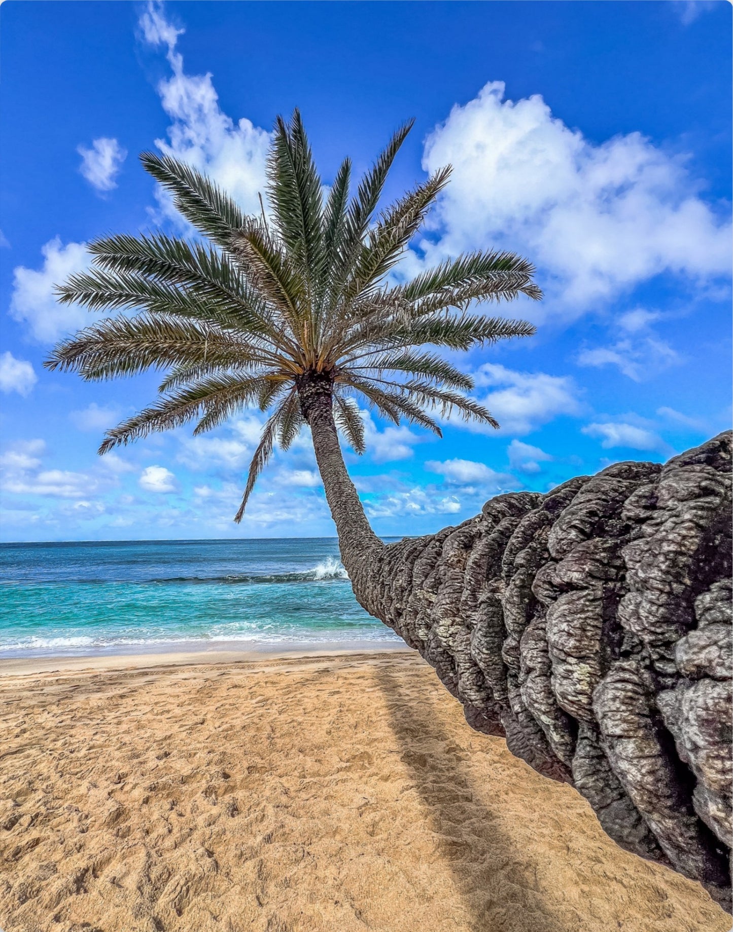 Walk on the Beach