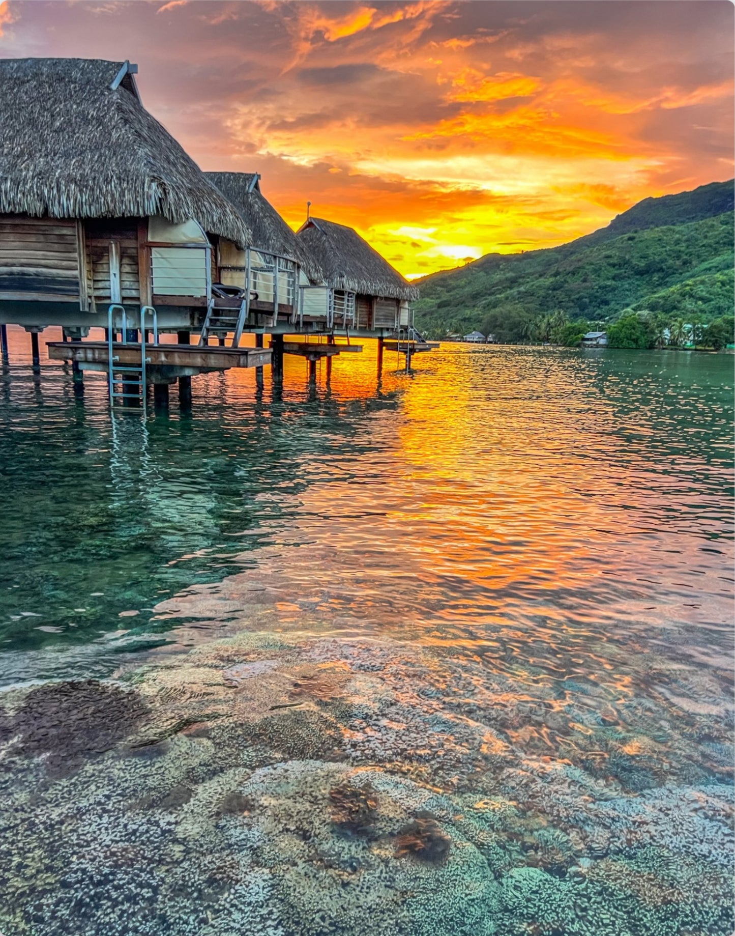 Mo'orea Sunrise