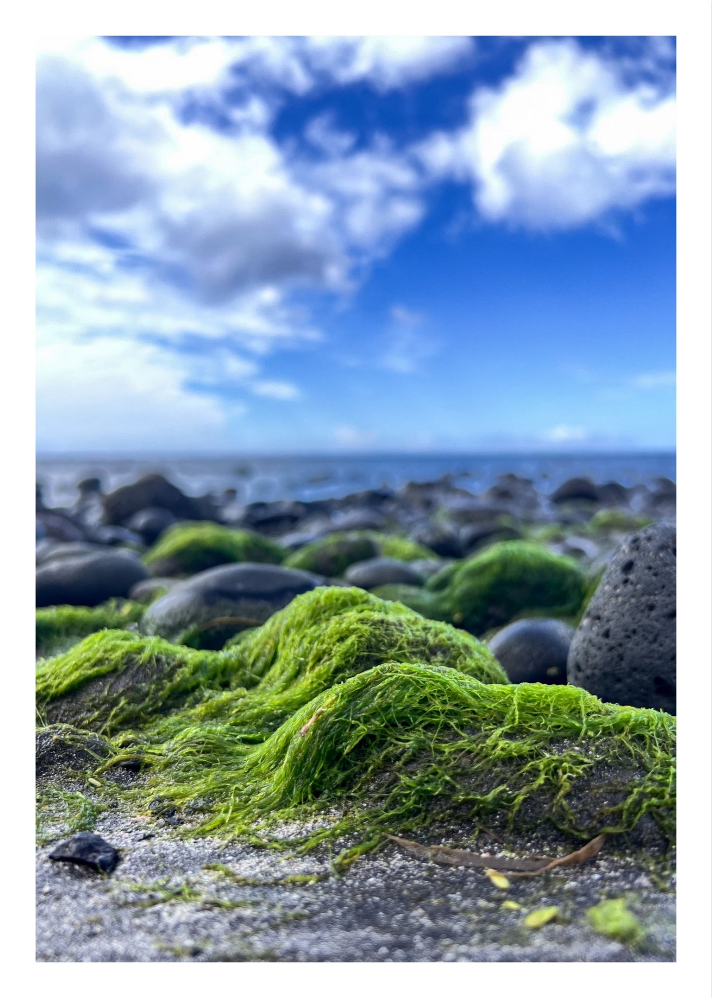 Low Tide