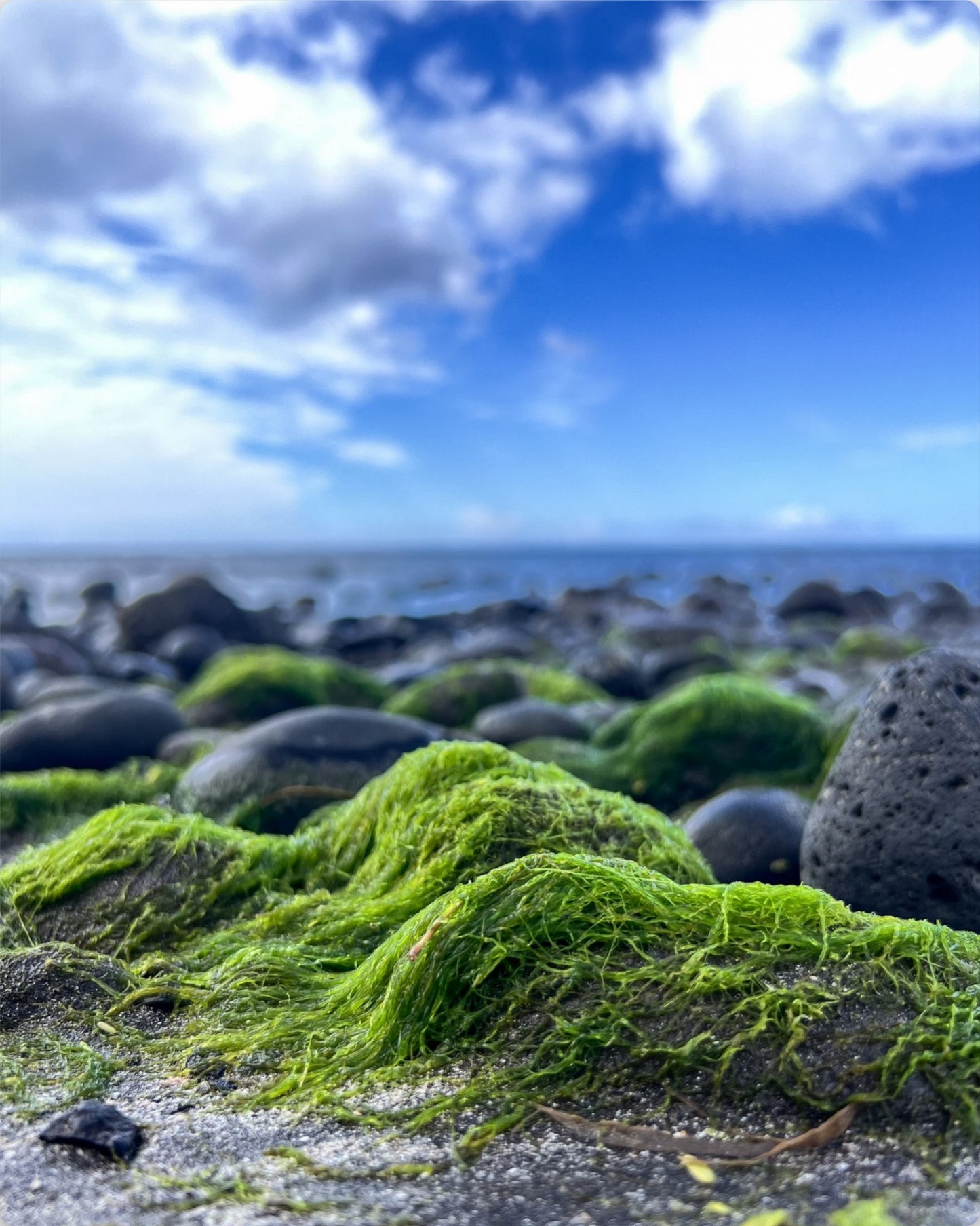 Low Tide