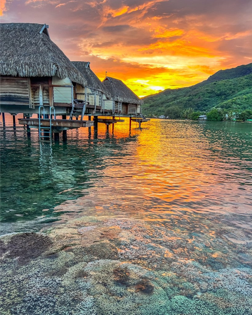 Mo'orea Sunrise