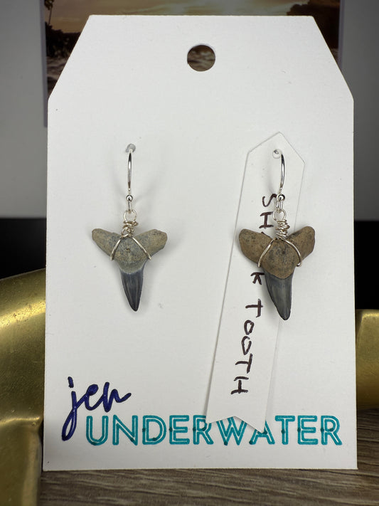 Shark Tooth Earrings- Silver