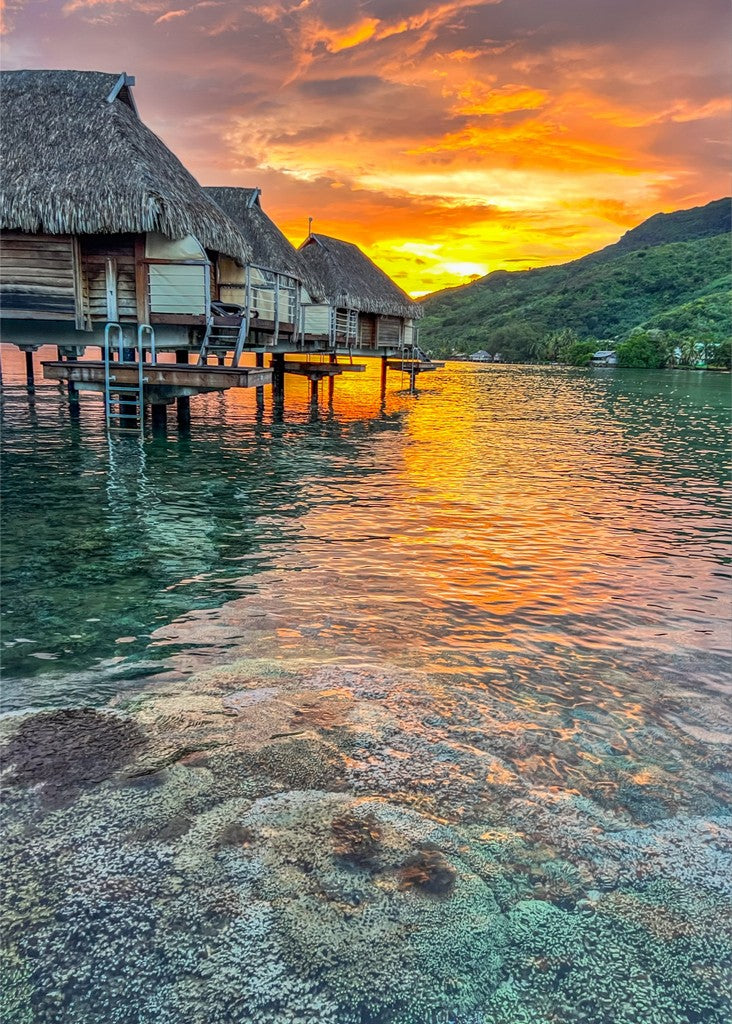 Mo'orea Sunrise