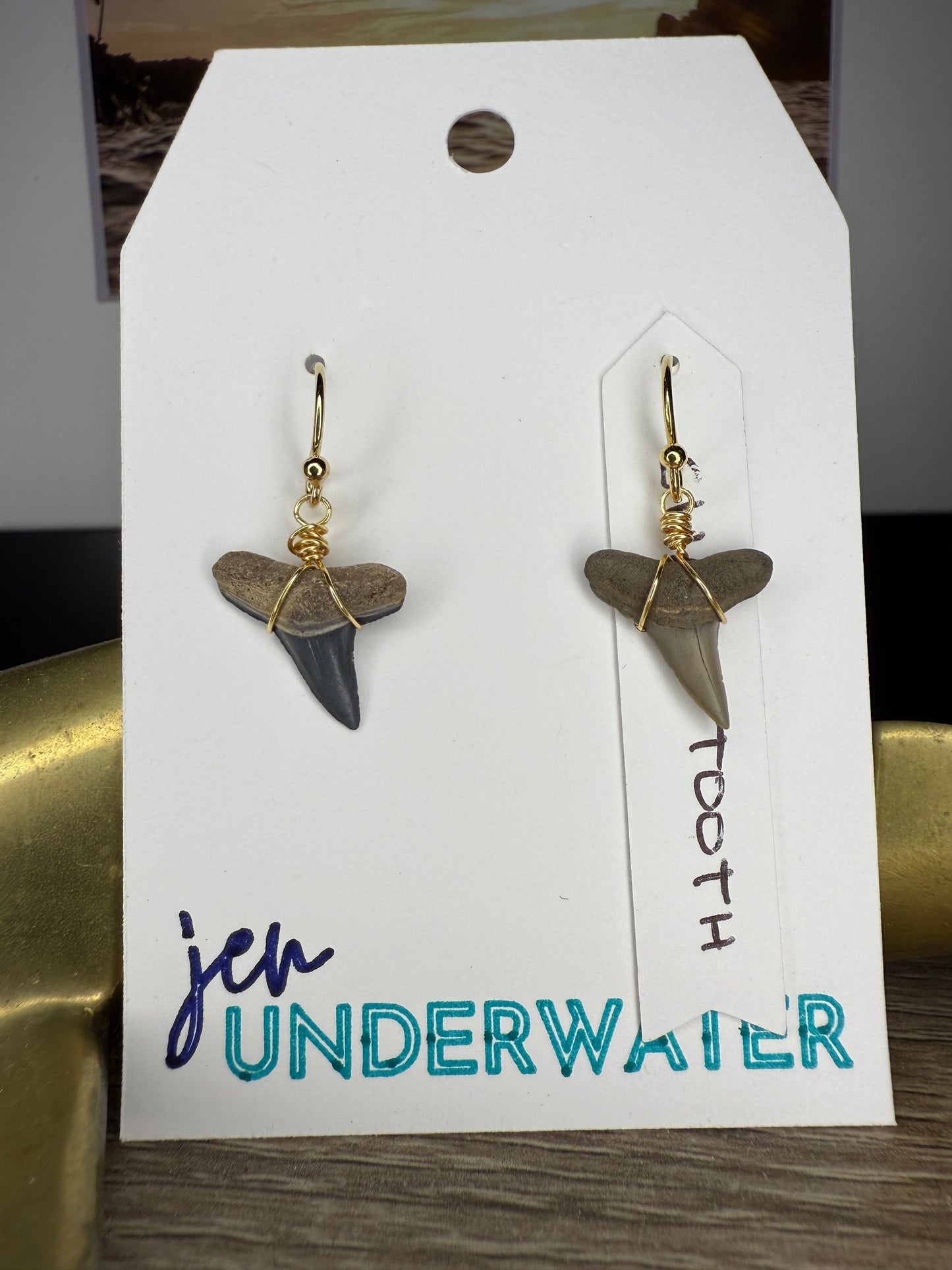 Shark Tooth Earrings- Gold