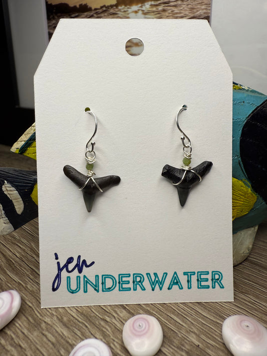Shark Tooth Earrings