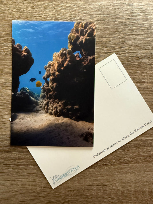 Underwater Seascape Postcard