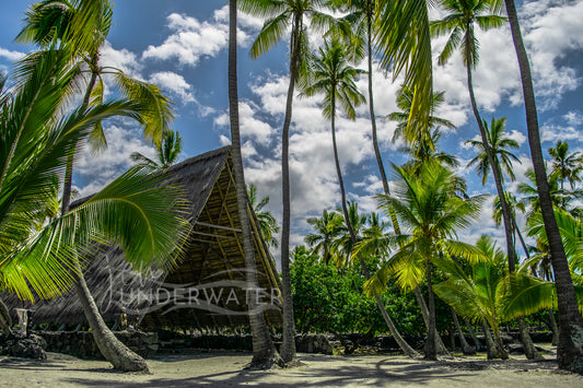 Pu'uhonua O Honaunau (City of Refuge)