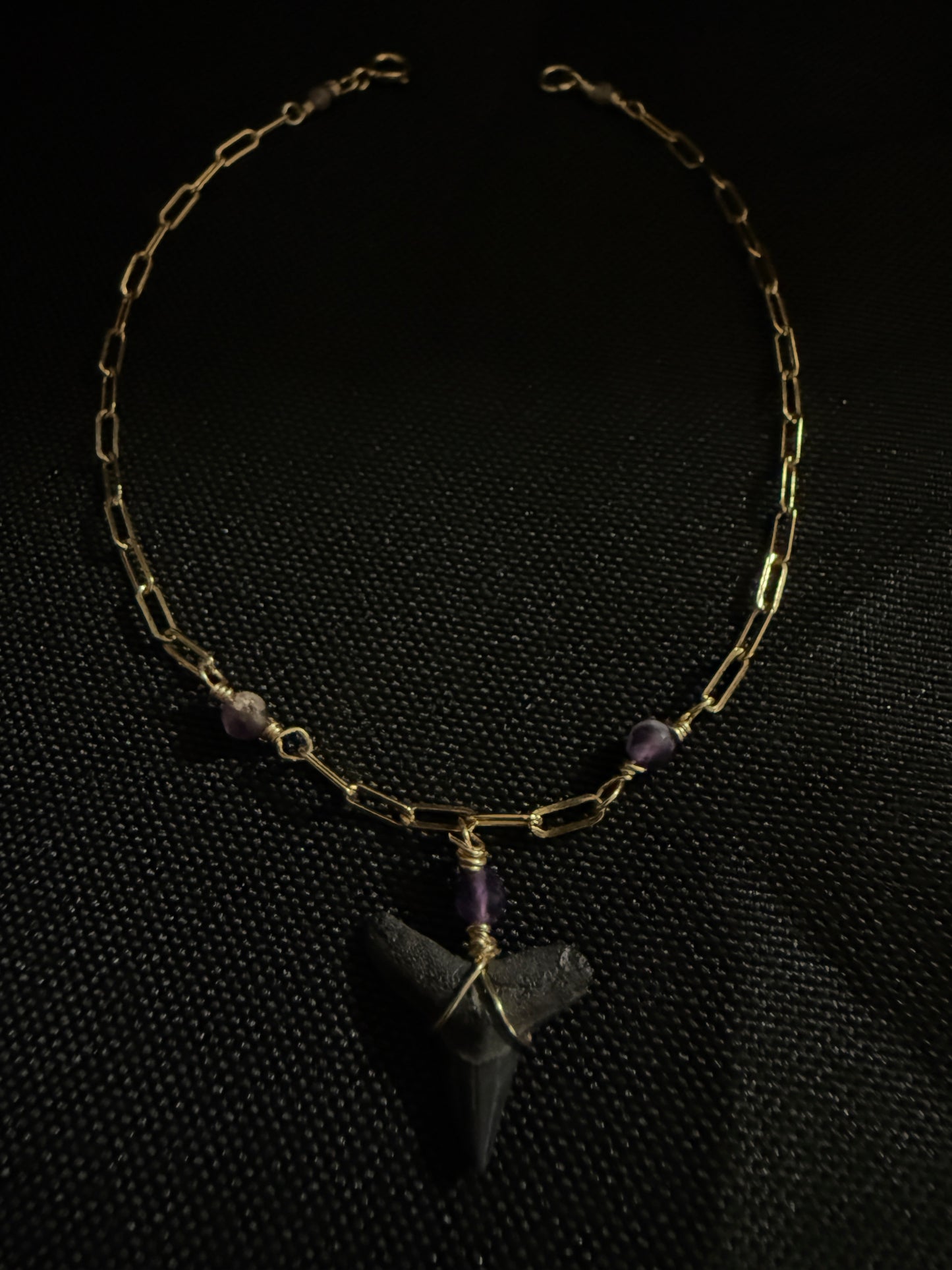 Shark Tooth Bracelet