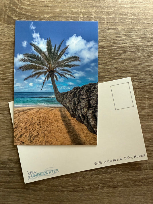 Walk on the Beach Postcard