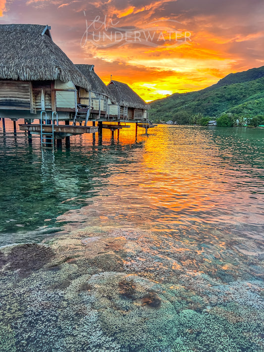 Mo'orea Sunrise