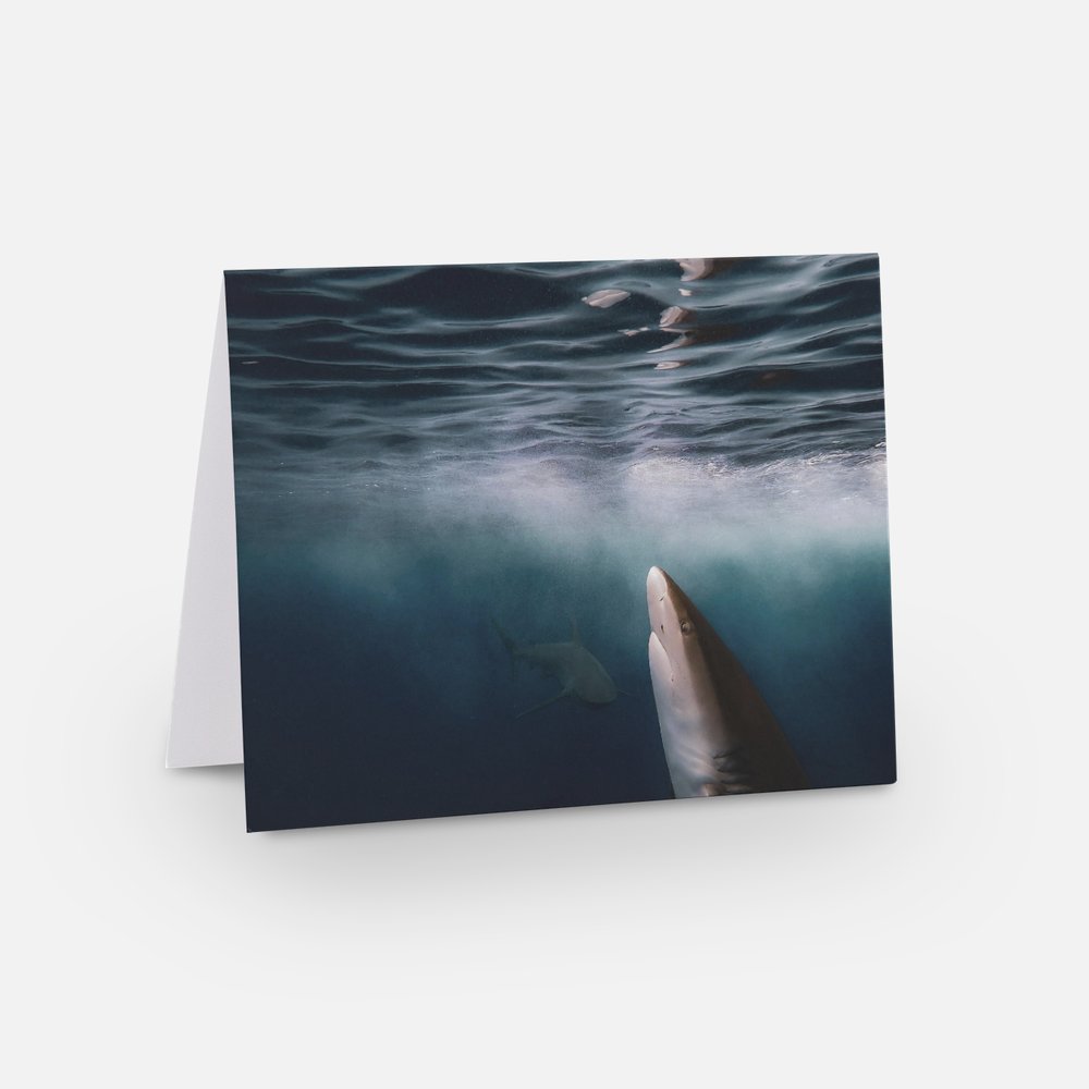 Below the Surface Note Card