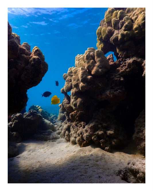 Underwater Seascape